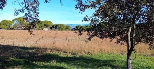 From Madrid: Winery Visit and Tasting Tour - The Sum Up