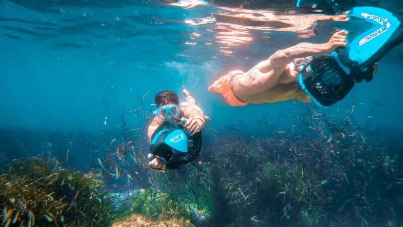 From Magaluf: Palma Bay Sightseeing Cruise with Live Music - Who Is This Tour Best For?  