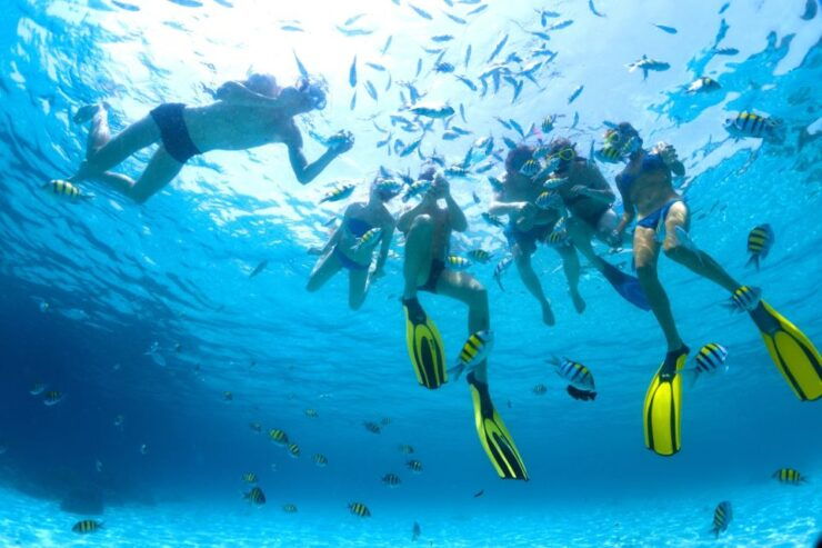 From Makadi Bay: Diving & Snorkeling Boat Tour With Lunch - Booking Information