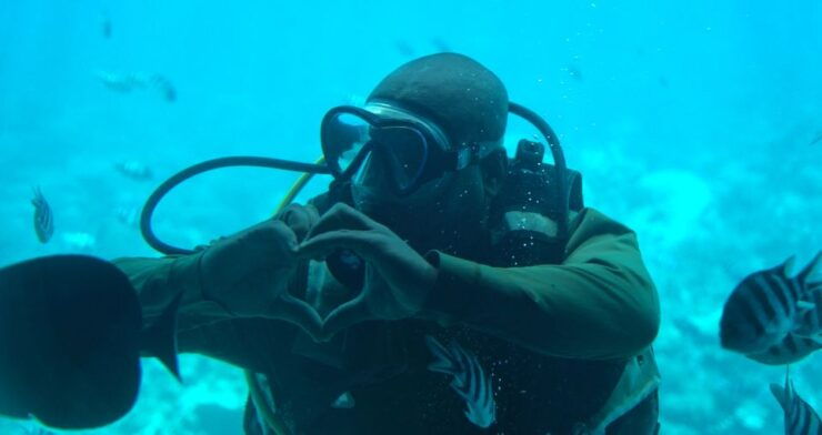 From Makadi Bay: Sindbad Submarine Tour With Round Transfers - Experience Highlights