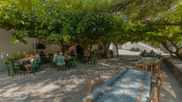 From Makry Gialos: Cretan Villages and Olive Oil Farm Tour - Important Tour Information