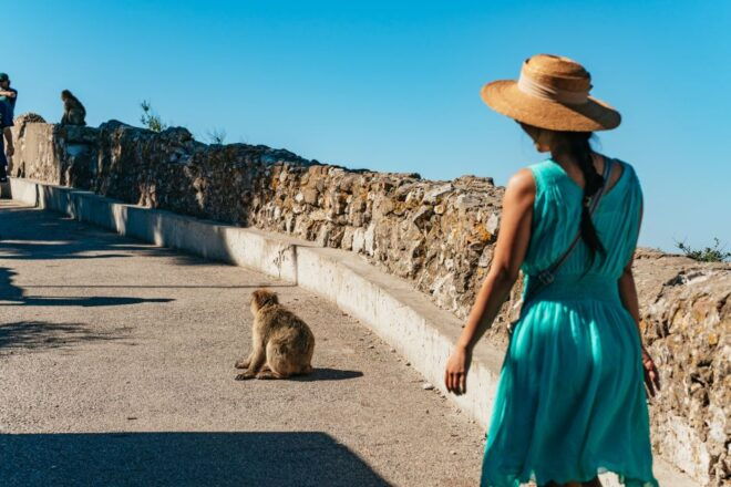 From Malaga and Costa Del Sol: Gibraltar Tour - Inclusions