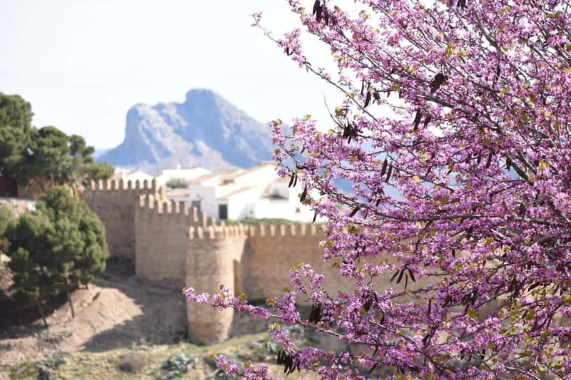 From Malaga: Antequera Heritage and Oil Mill land - Good To Know