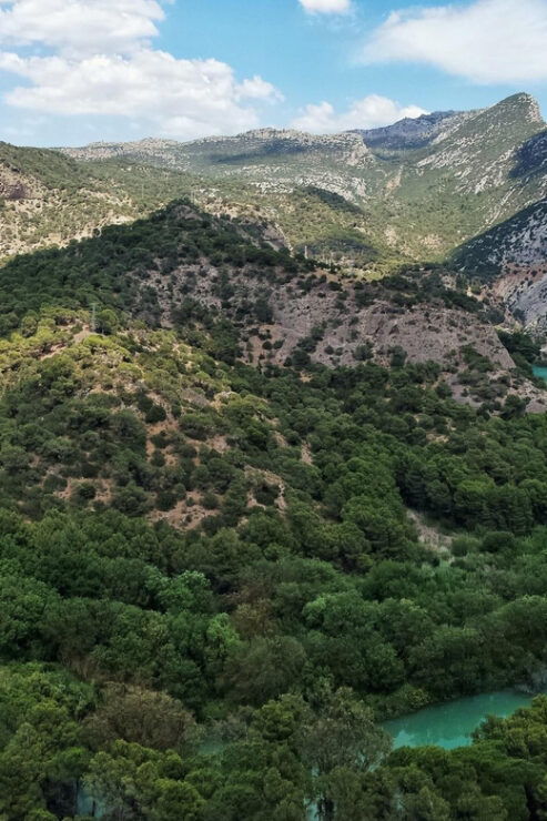 From Malaga: Caminito Del Rey + Alora Villlage Tour & Tapas - Inclusions