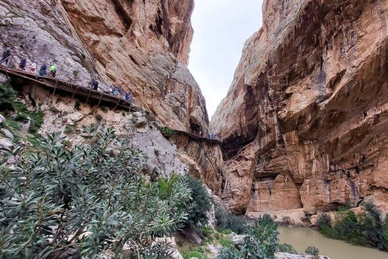 From Málaga: Caminito Del Rey Guided Day Trip - Hiking Experience