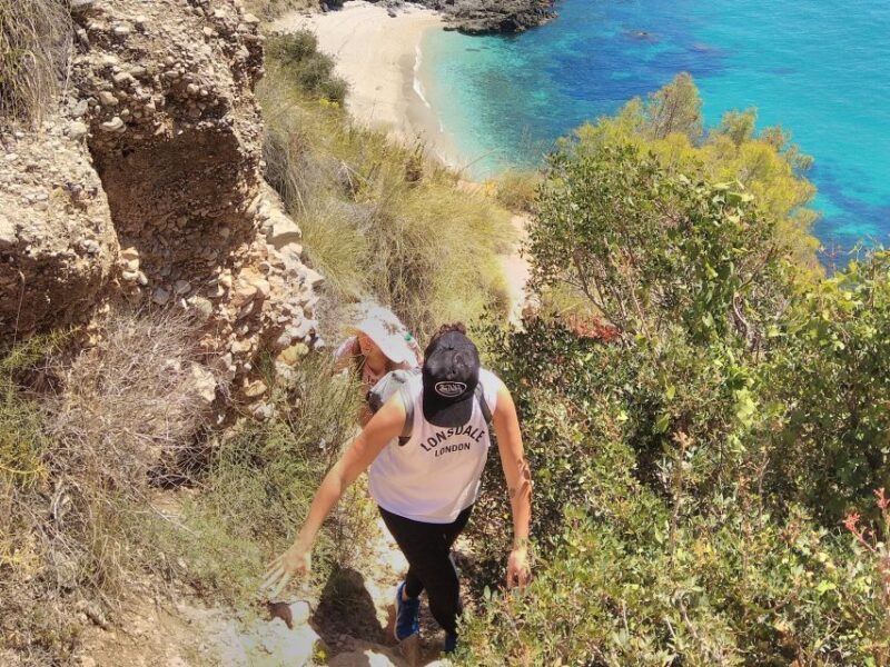 From Malaga: Cliffs of Maro Hike w/ Beach Visit & Snorkeling - An In-Depth Look at the Experience