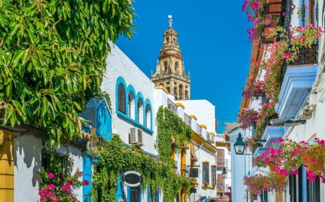 From Málaga: Day Trip to Córdoba - Premium Small Group Tour - Inclusions