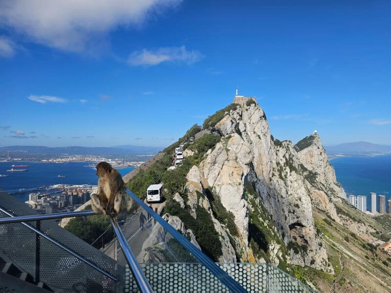From Malaga: Gibraltar and Tangier Private Day Trip - Key Points