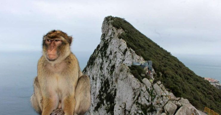From Málaga: Gibraltar Shopping Full-Day Tour - Tour Details