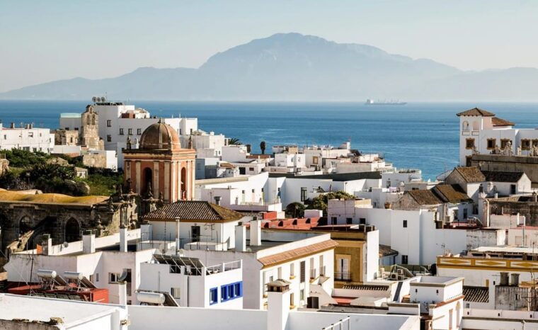 From Malaga: Guided Tour in Tarifa With Whale-Watching and Dolphin Watching - Marine Life and Environmental Commitment