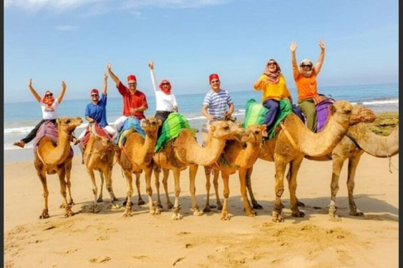 From Malaga: Luxury Private Tour From Malaga to Tangier - Itinerary Highlights