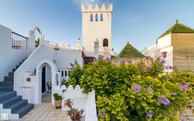 From Malaga or Tarifa: Private Tangier Day Tour - Booking Details