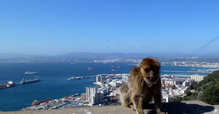 From Malaga: Private Gibraltar Highlights Day Trip - Experience Highlights & Activities
