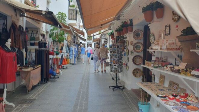 From Malaga: Private Guided Day Trip to Nerja and Frigiliana - Description