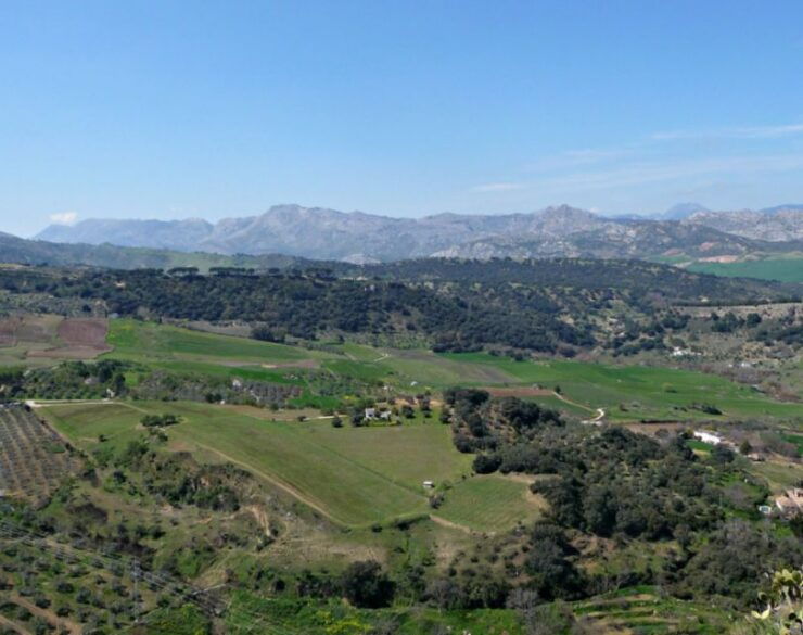 From Malaga: Private Malaga Airport Transfer to Ronda - Service Details