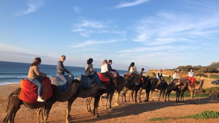 From Malaga: Private Tangier Day Tour - Transportation and Duration