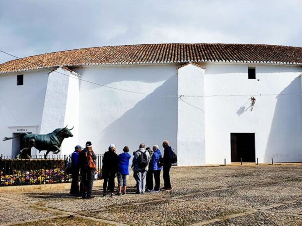 From Malaga: Ronda and Setenil De Las Bodegas Day Trip - Common Questions