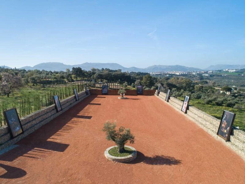 From Málaga: Ronda Experience With Oil Tasting - Transportation and Logistics
