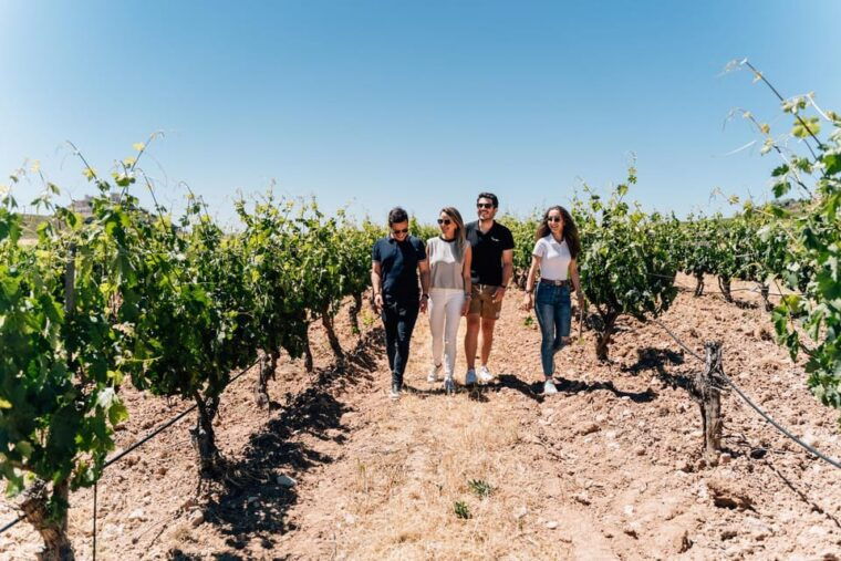 From Málaga: Ronda, Wine & Olive Oil Tasting Small Group - Exploring Ronda