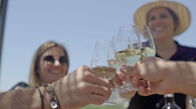 From Málaga: Ronda & Winery Experience With Wine Tasting - Important Information