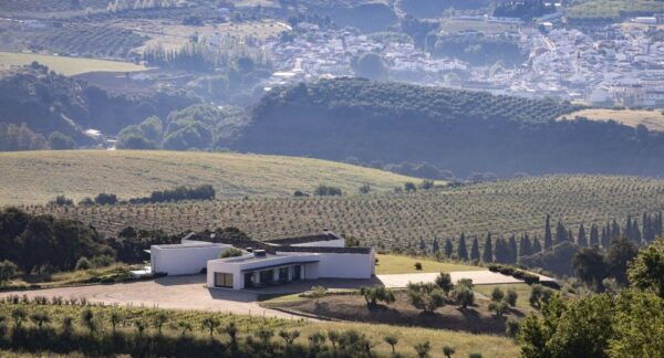 From Málaga: Ronda & Winery Experience With Wine Tasting - The Sum Up