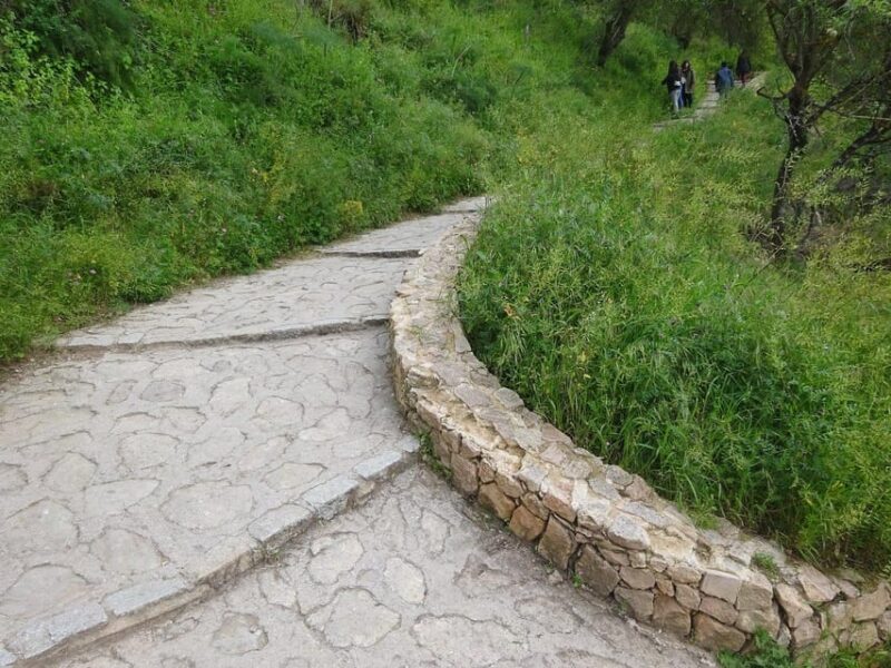 From Malaga: Ronda y Setenil de la Bodegas Day Trip by coach - Who Should Consider This Tour?