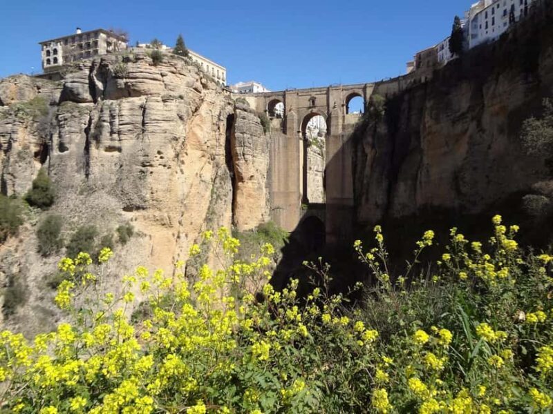From Malaga: Ronda y Setenil de la Bodegas Day Trip by coach - The Sum Up