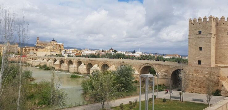 From Málaga: Roundtrip Transfer to Cordoba - Experience Highlights