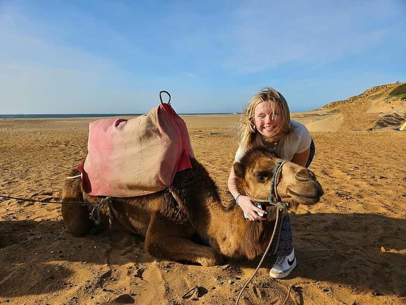 From Malaga: Tangier Day Trip with Ferry, Camel & Souks - Who Is This Tour Best For?