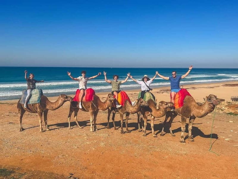 From Malaga: Tangier Day Trip with Ferry, Camel & Souks - FAQs