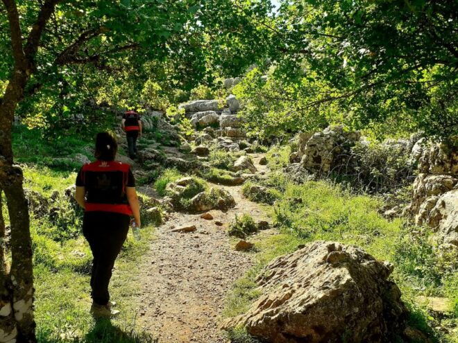 From Malaga: VIP Antequera Torcal Hiking and Dolmens Site - Customer Reviews