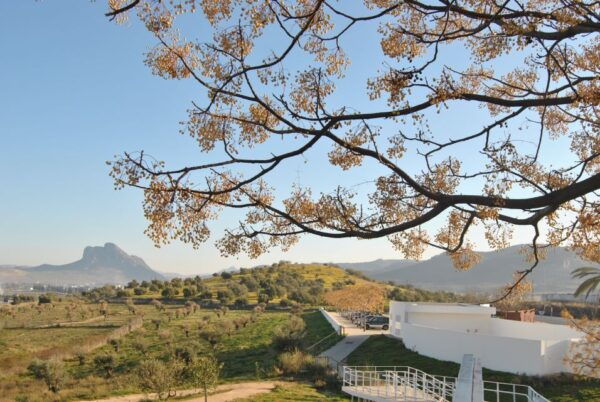 From Malaga: VIP Antequera Torcal Hiking and Dolmens Site - Common Questions