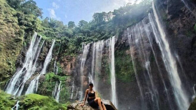 From Malang: 1 Day Tumpaksewu Group Tour Leave Daily - Pricing Information
