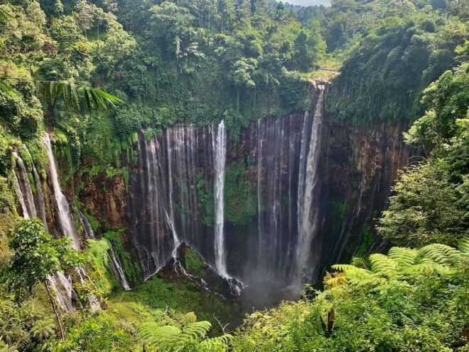 From Malang: 1 Day Tumpaksewu Group Tour Leave Daily - Pickup Locations