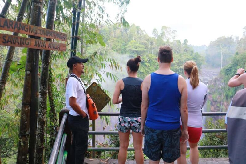From Malang or Surabaya: Tumpak Sewu Waterfall Group Tour - Who Is This Tour Best Suited For?