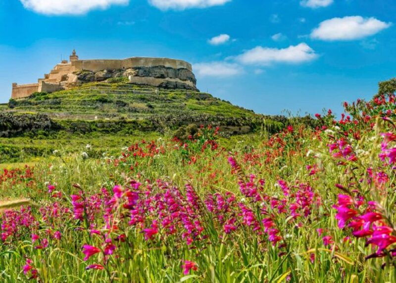 From Malta: Gozo Full-Day Tour with Guide, Temples, & Train - Transportation and Group Dynamics