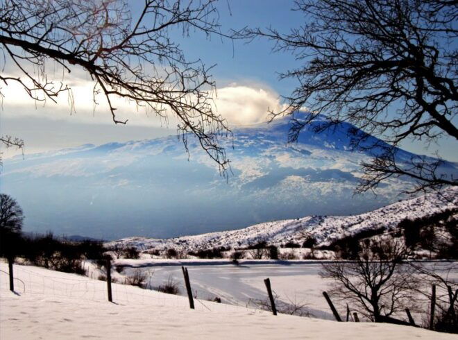 From Malta: Mt. Etna & Syracuse Day Trip With Guide - Inclusions