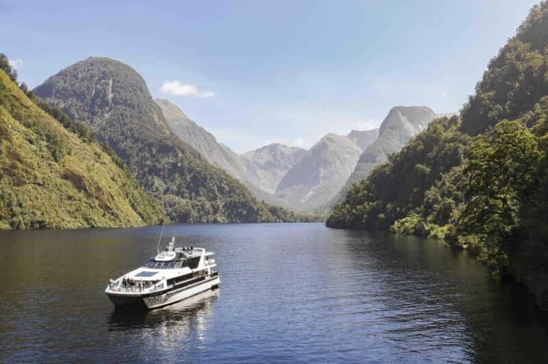 From Manapouri: Doubtful Sound Wilderness Day Trip - The Boat Cruise: Comfort, Views, and Wildlife