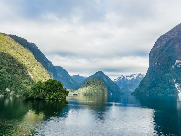 From Manapouri: Premium Doubtful Sound Wilderness Day Trip - Activity Details