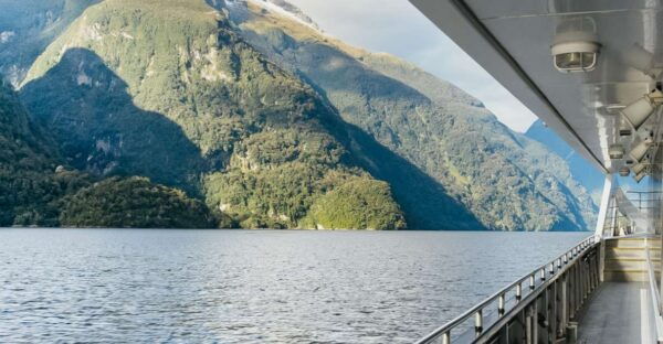 From Manapouri: Premium Doubtful Sound Wilderness Day Trip - Common Questions