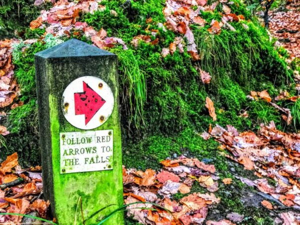 From Manchester: Lake District Sightseeing Day Trip - The Sum Up