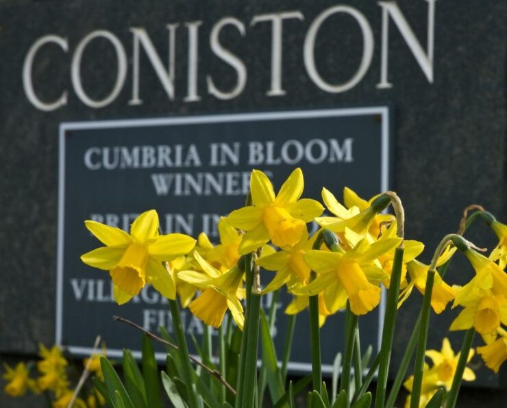 From Manchester: Lake District Tour - Experience Itinerary
