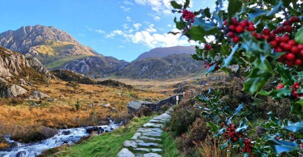 From Manchester: North Wales & Snowdonia Day Trip by Minibus - Common Questions