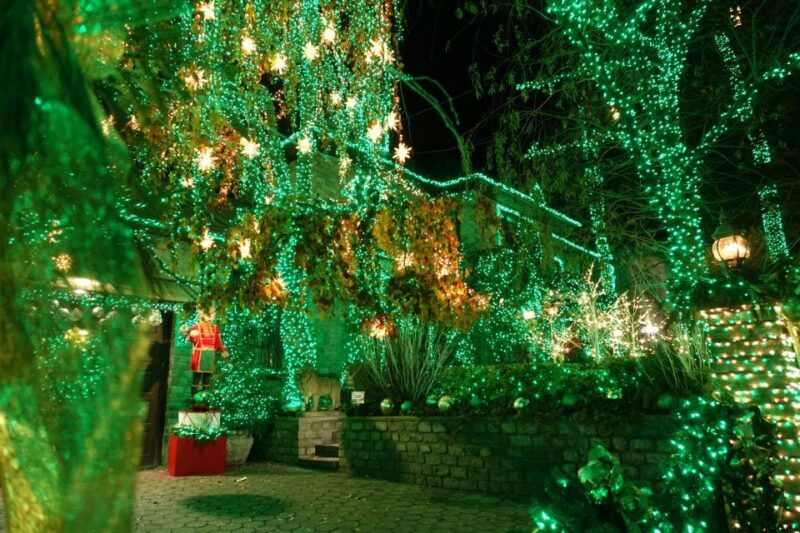 From Manhattan: 4-Hour Christmas Lights Luxury Bus Tour - Who Would Love This Tour?