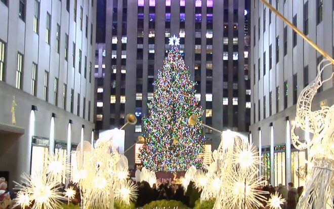 From Manhattan: Dyker Heights Holiday Bus Tour - Tour Inclusions