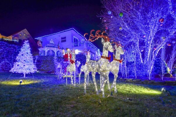 From Manhattan: Dyker Heights Holiday Bus Tour - The Sum Up