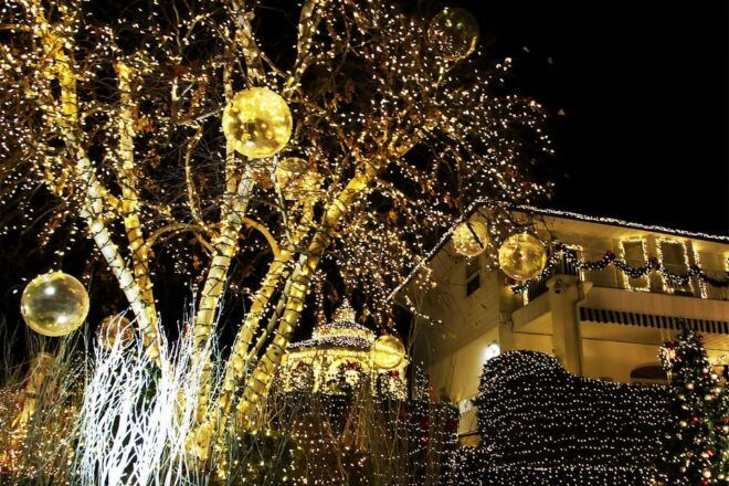 From Manhattan: Dyker Heights Lights Bus Tour - Inclusions