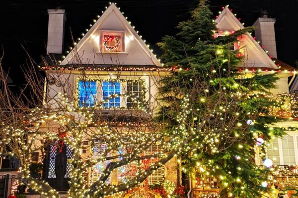 From Manhattan: Dyker Heights Lights Bus Tour - Transportation Details