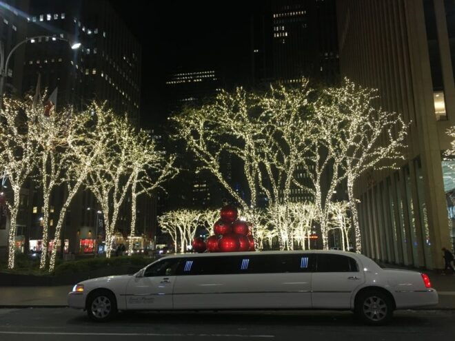 From Manhattan: Private Brooklyn Christmas Tour by Limousine - Visit Brooklyns Best-Decorated Neighborhood