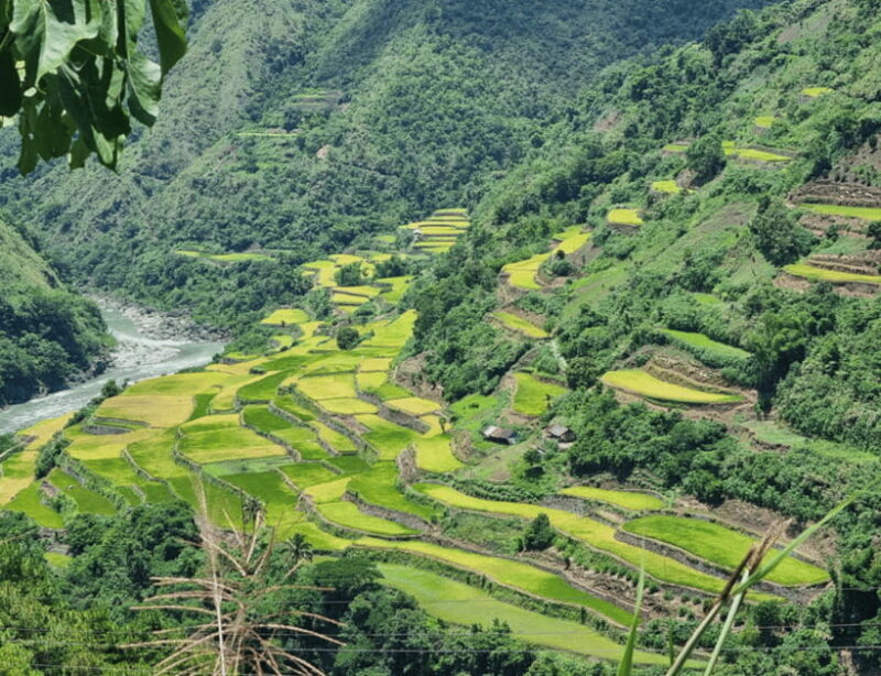 From Manila: 2-Day Buscalan Tour with Apo Whang-od - The Return Trip